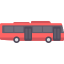 buses